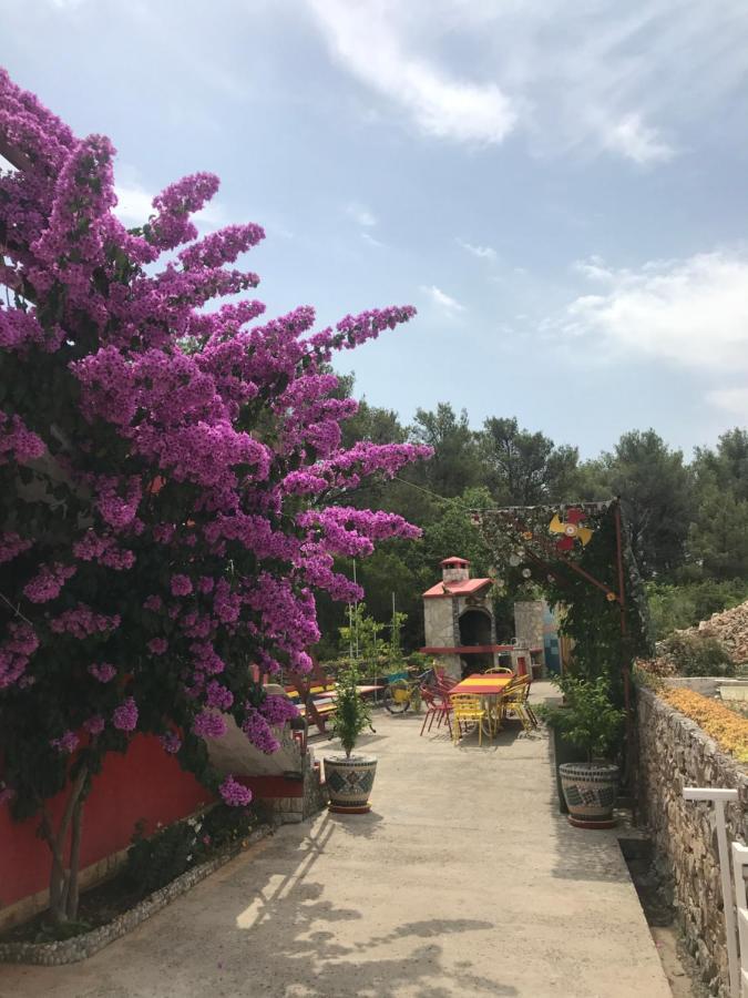 Lipovac Resort Ficus Bilice Bagian luar foto